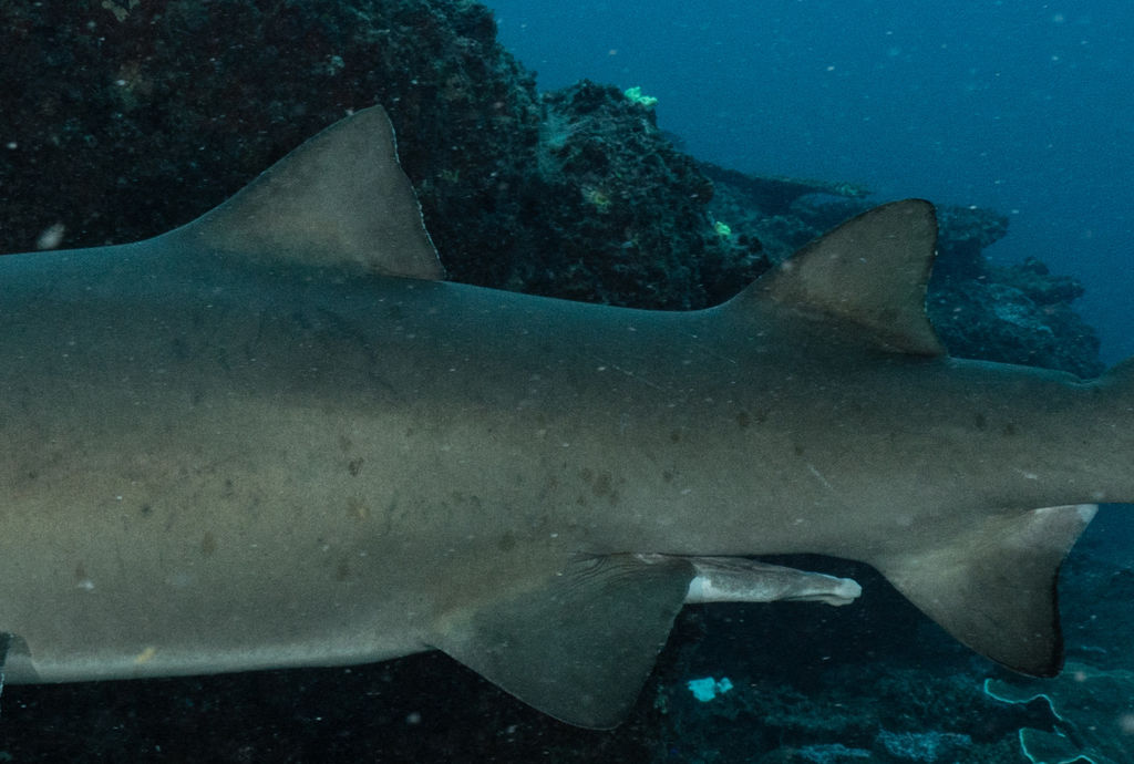 c146b4ac-6188-48c4-91d7-2f90f2ac6c19