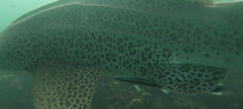 ecb95f7a-bff3-4fee-93f7-96b728648e2e