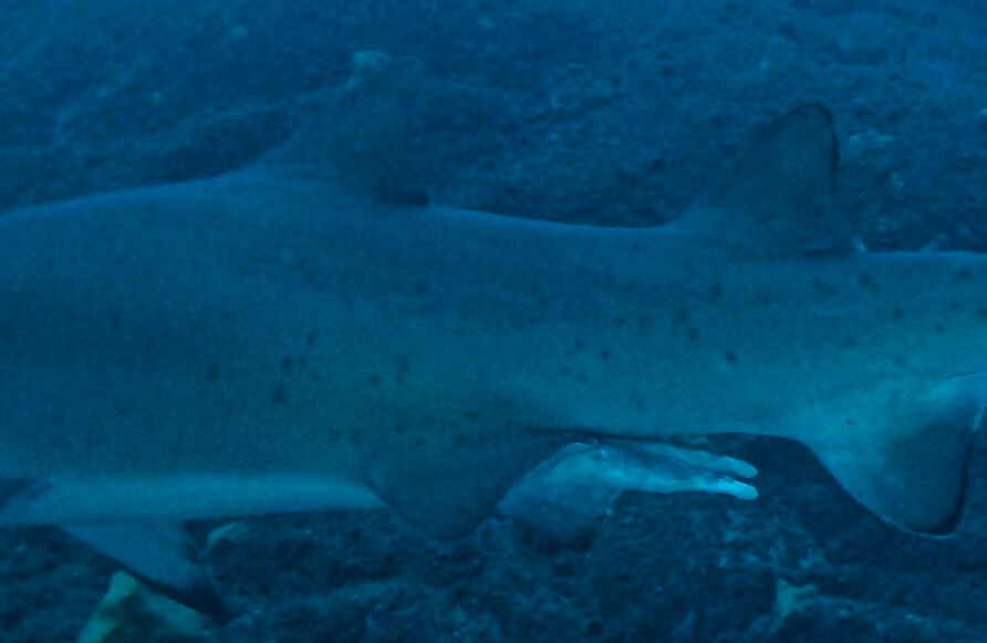 663cc9a2-7d8f-41f6-9d29-fae6622c0713