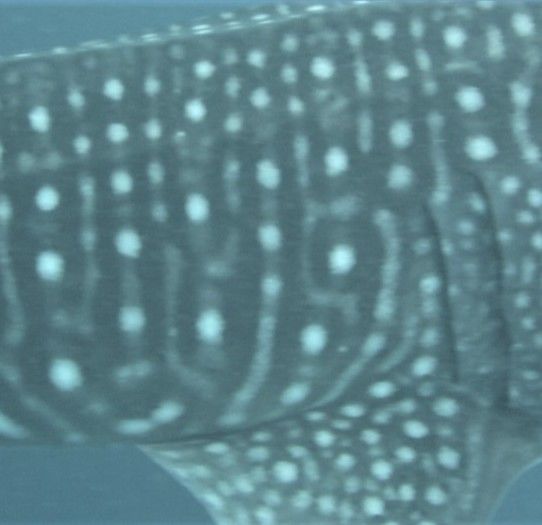 3747b1f0-627e-409c-b2d4-b4e386e658bd