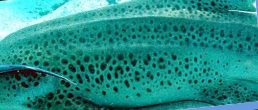 de7863a7-e4c6-412d-b408-ca0ca129c763