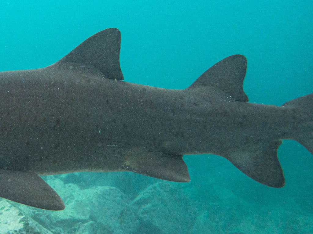 7f9f7930-97d8-4534-95f4-d85a60b195b7