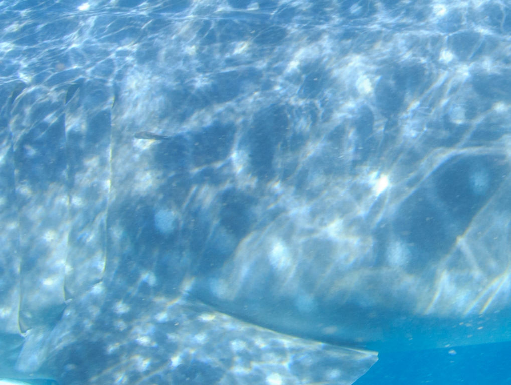 3e340e56-5596-4fba-a0d3-322692fcdc54