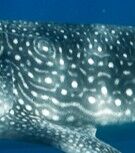 2ce8beba-9e04-4477-b532-ae20cd48d074