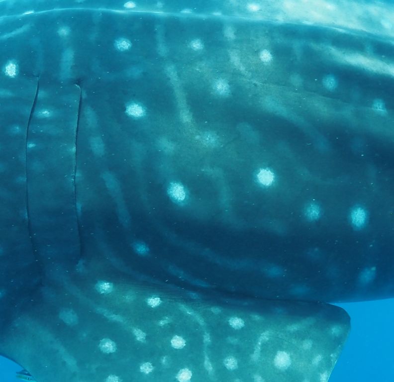 d3fd5ffd-82f3-401e-943f-7dfb1c308182