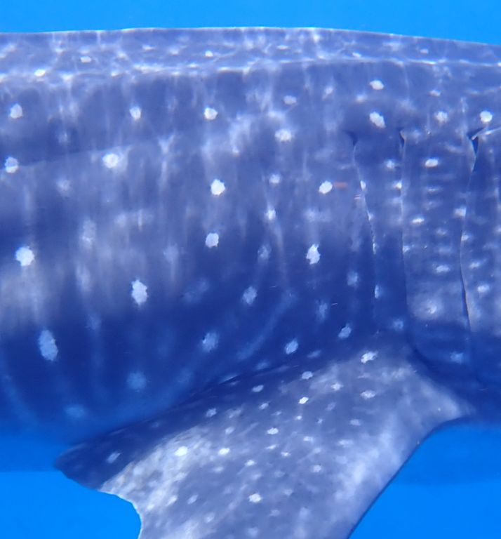 6c2ca839-9d31-4468-b0e5-29b698e767b0