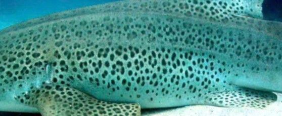 b441ad66-3203-426f-b68b-9274a50ffbc5