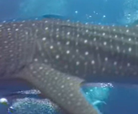 f9f3ffd0-ea9b-4002-8c83-c97297b89db9