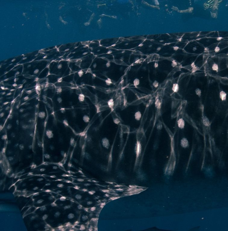 b09475f8-932a-4b72-b021-a0d5a3ce365d