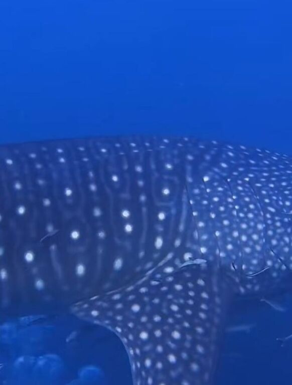 3423089a-a936-47fa-938b-23840666982d