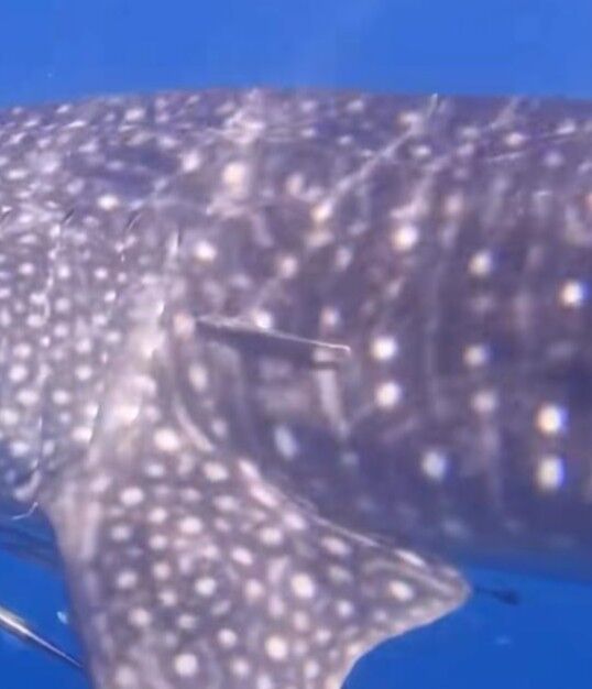 3423089a-a936-47fa-938b-23840666982d