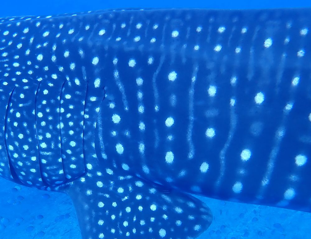 5cc16c79-5846-42b0-ba74-bdee44672b41