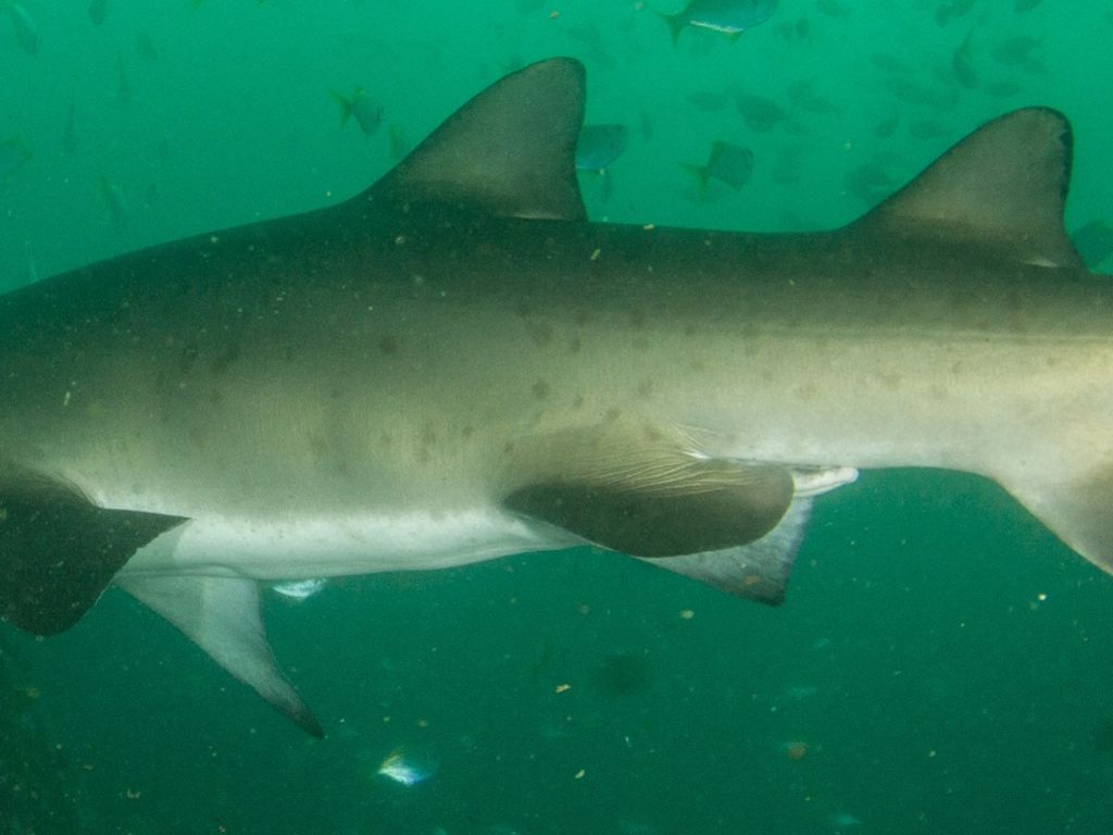 ffec3d99-c8a2-4239-8563-0b9c45b0ee97