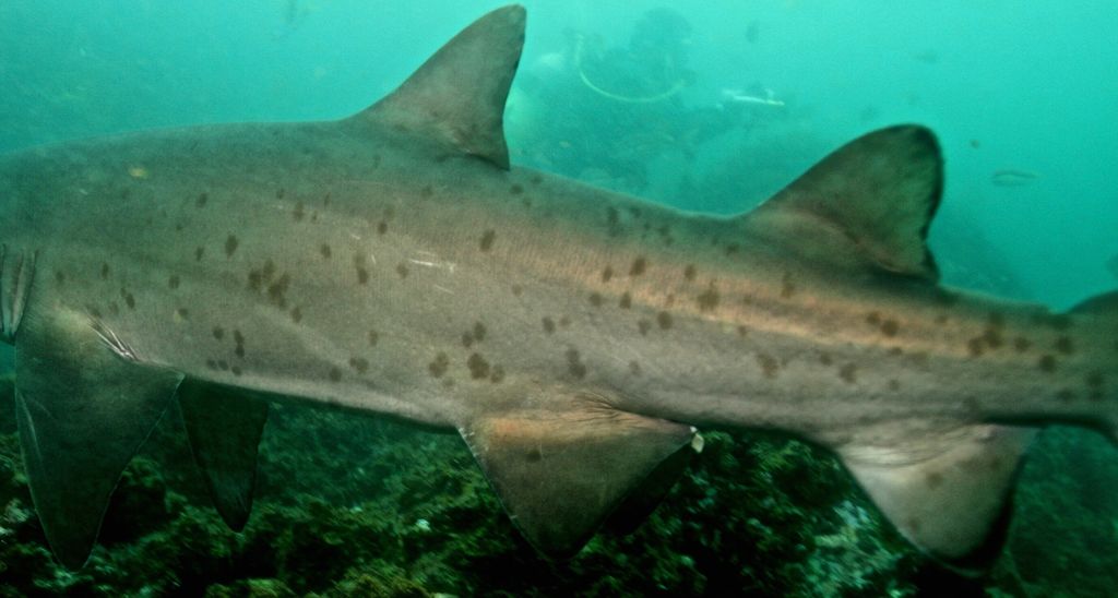 c7dfd18c-19ee-4eef-9a62-395bb7cf8cb9