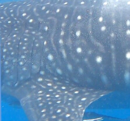 9856f41c-4f27-44f1-994b-215e97f213ca