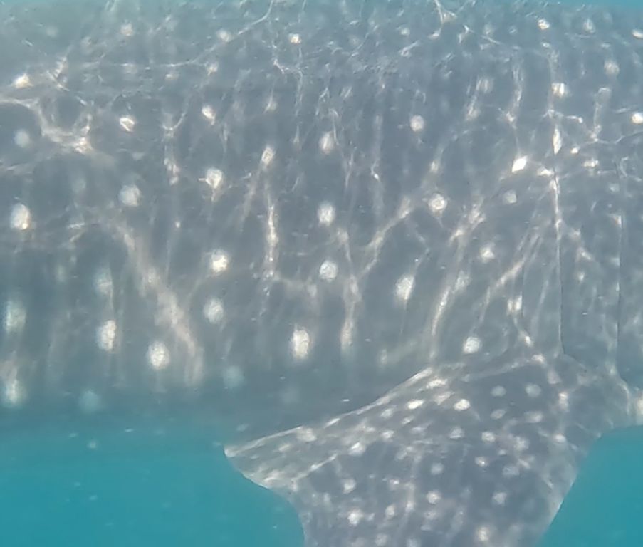 01efe16d-3ff1-4509-b5e1-a9d9cfbb977a