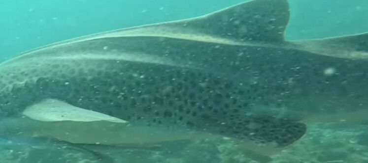 cc7c07cb-bece-4562-9122-5190afeaf040