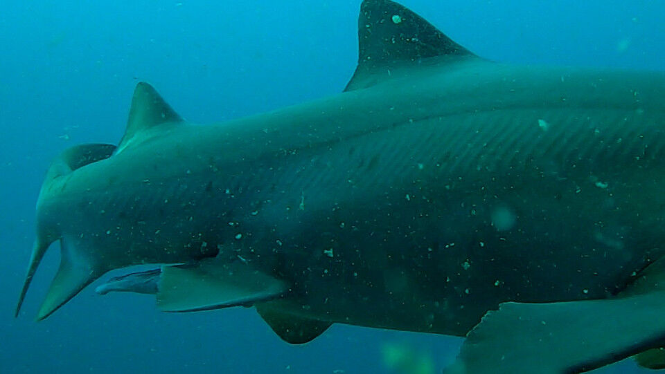 451d2b02-0b16-42be-872e-bddecea7eca2