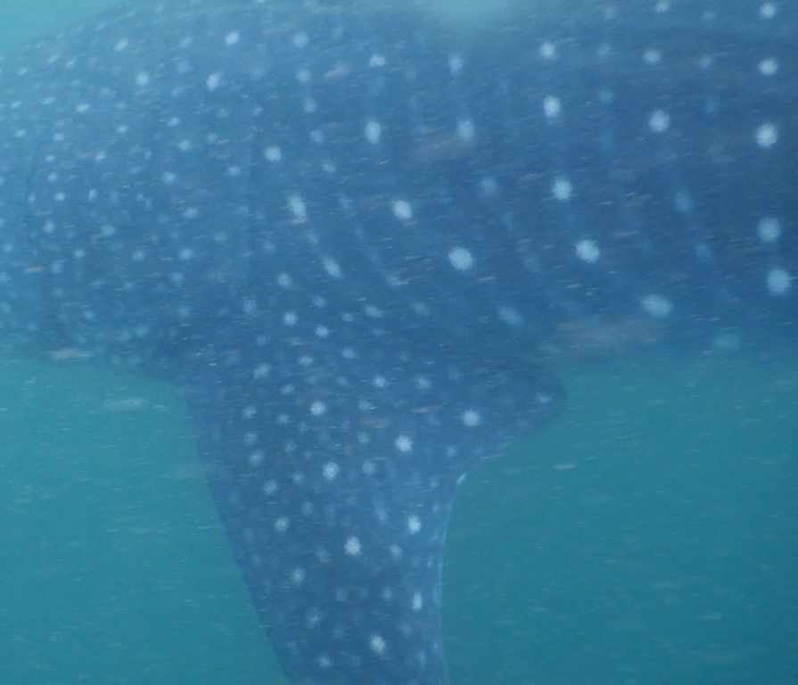 601afad2-002a-4c91-ade6-886fc3b3ccc7