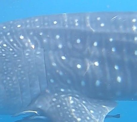 137cb260-3e06-488c-bcce-e4648189bd04