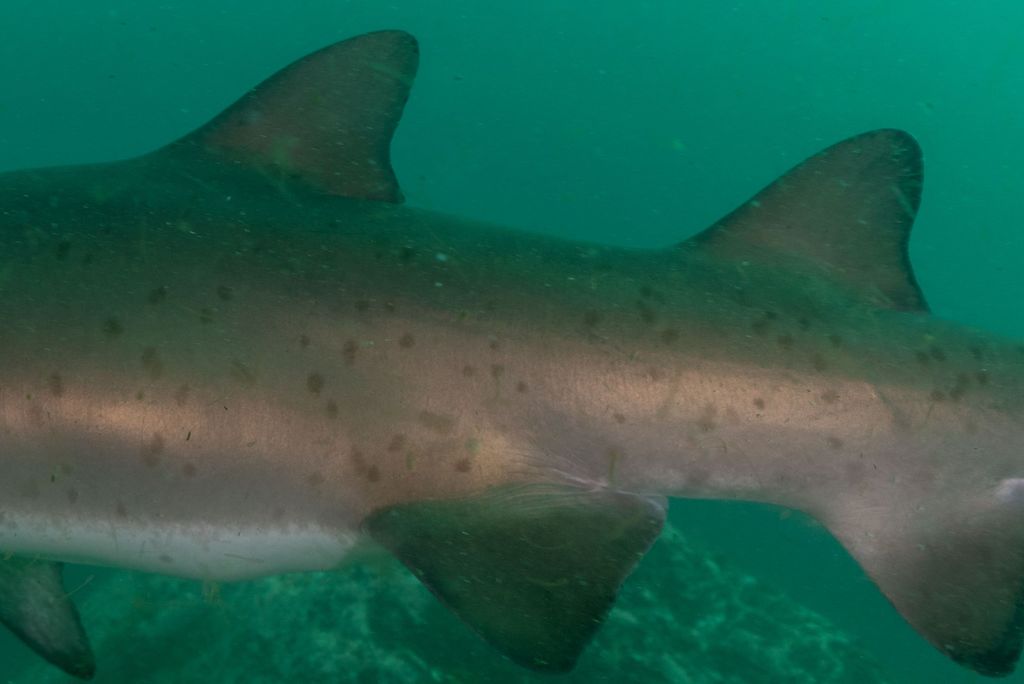 812e8af3-1cb6-494d-908b-86b26ac061ba