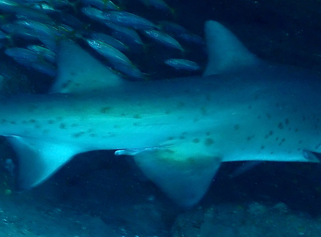 4b80d5c9-8c32-4aae-a0a9-fbc3b292891e