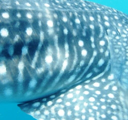 b24e054d-01d1-495d-a9a2-cbb174cc4700