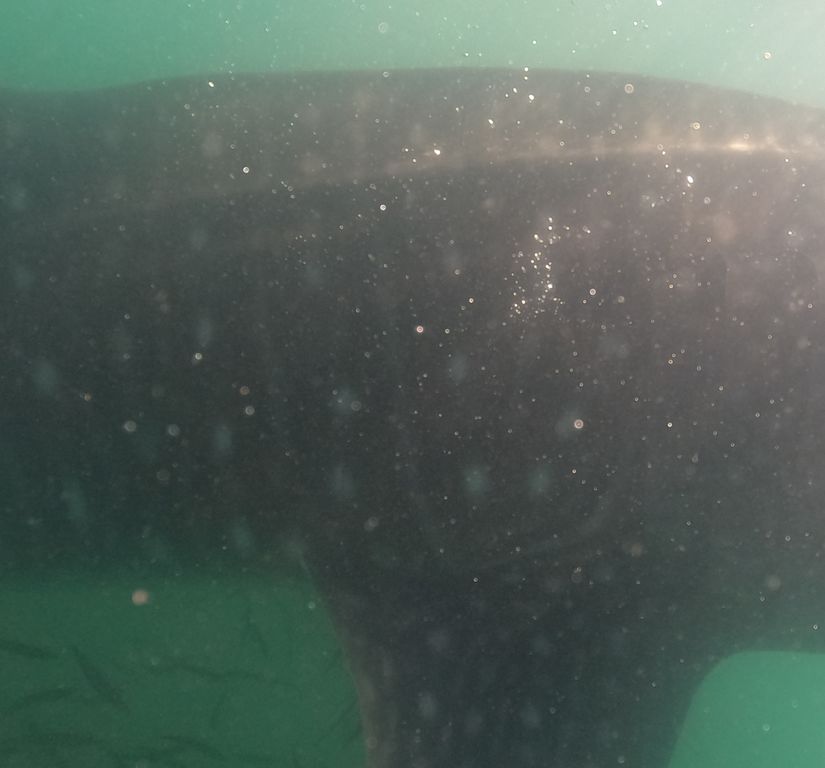 da8826f6-949c-4032-8ec3-2d89872687e5