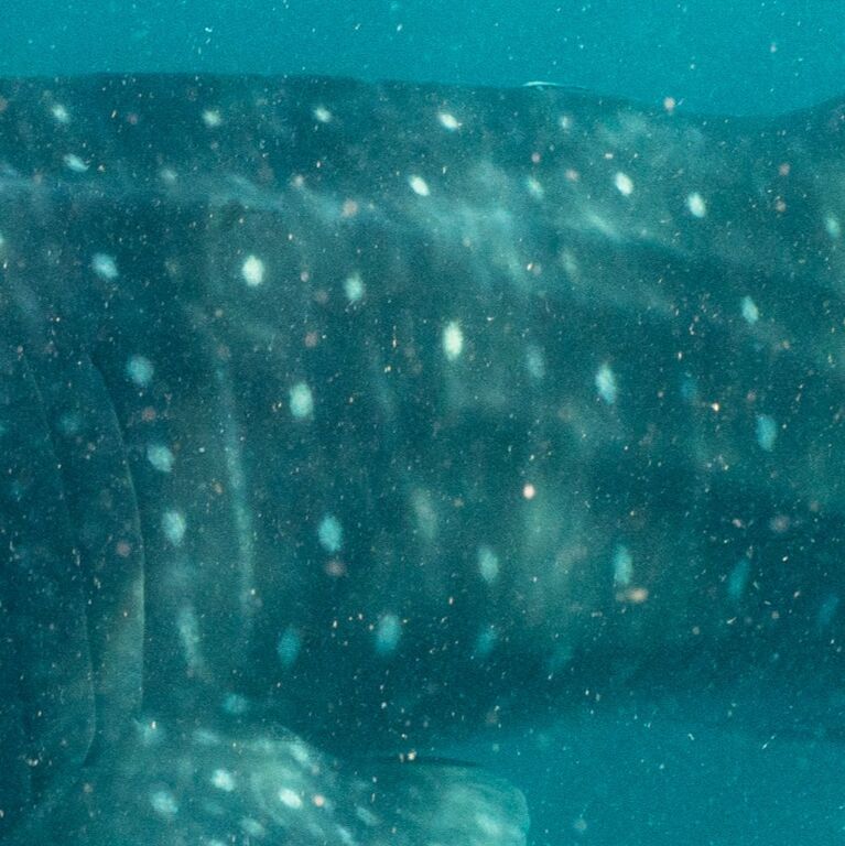 698879ed-0c2e-4ba6-b8fe-9c1deadc4772