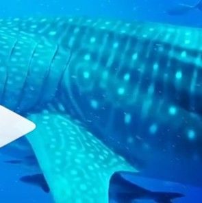 c4dd8bc5-d89f-4b18-b6ac-c0593532a959