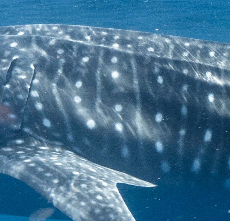 dcc988a3-8786-4d3f-8ca6-ed1a2e202a2c