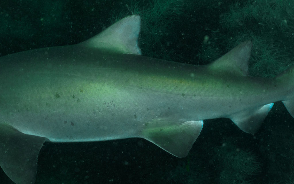 5b6ad743-833a-4557-a794-3ba2d7faf93a