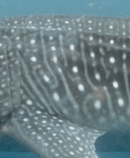 e6edd8ef-7d52-40de-9f1c-c7e1710f7aea