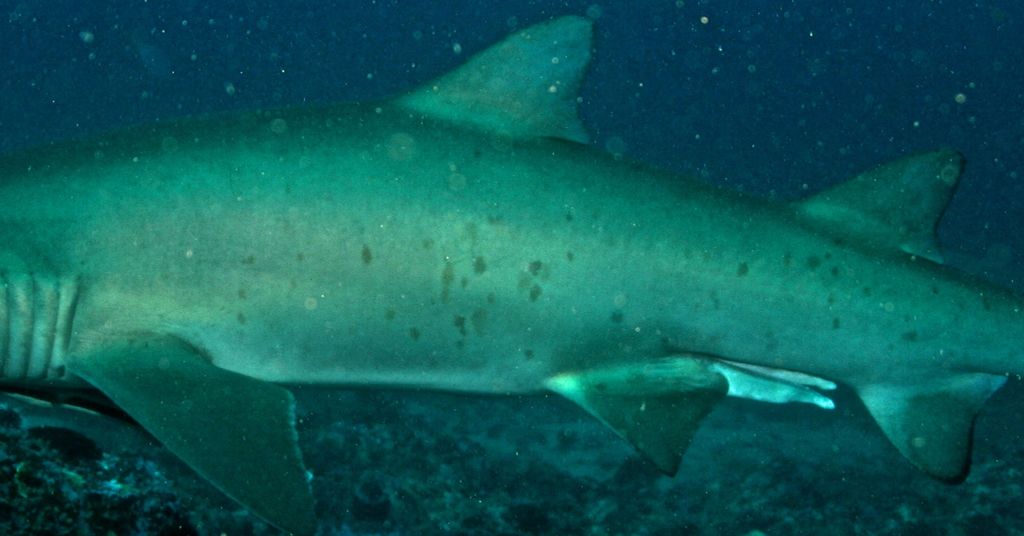 3657eca3-f3ad-43bb-ad5c-0e76b0ed6abf