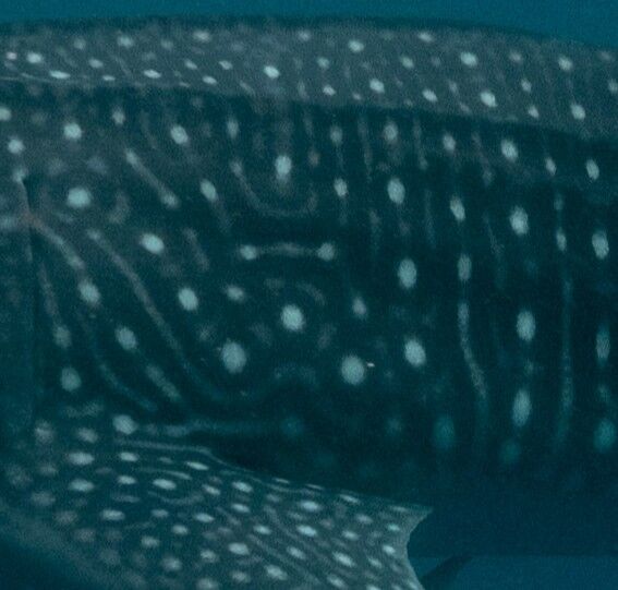 b38ef2c0-1a90-4683-ae43-94f9cfc7c109