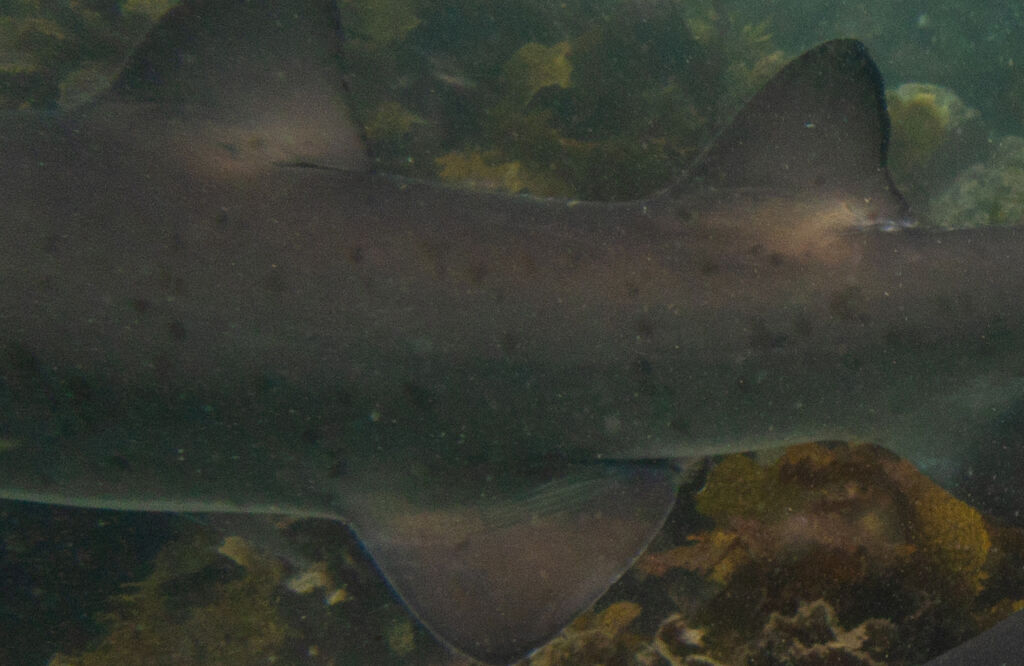 f074efd9-b786-4889-8afa-97b98703040e