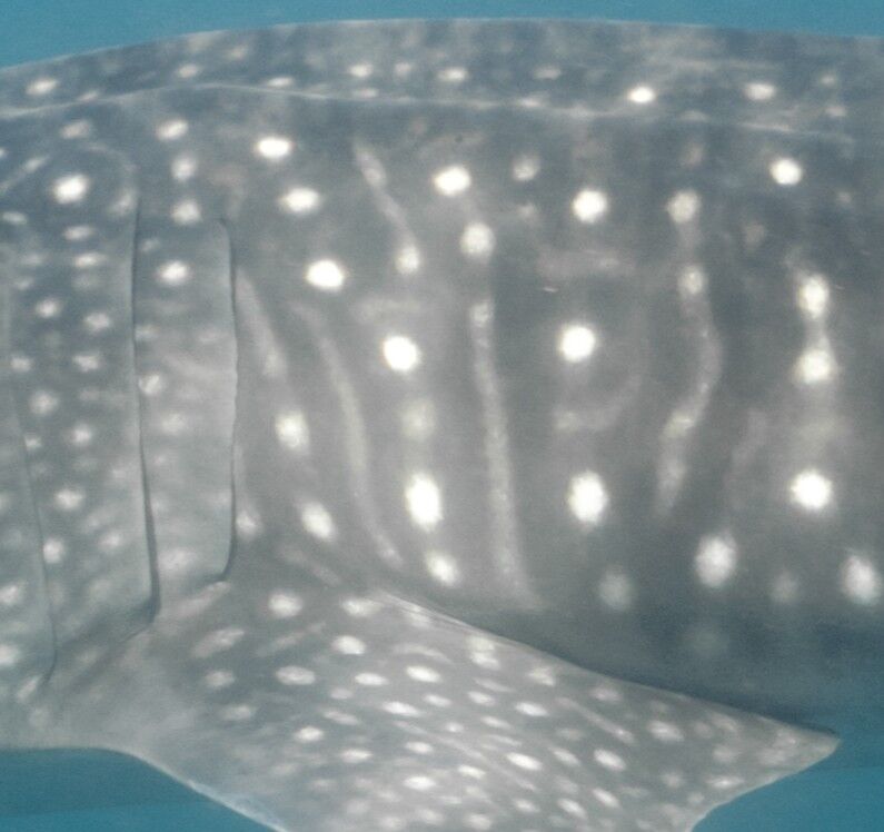 36fa390d-8401-4861-bf03-b170bdf2b6c4