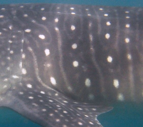 fb3968e3-1495-48a5-a8fc-fc1ac437a638