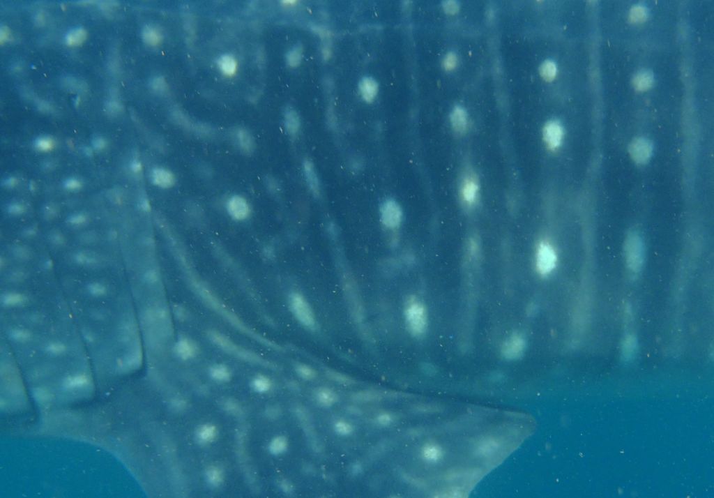 fbe2ebcd-5143-4f42-a698-826ae501804a