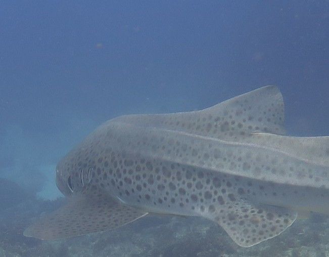 e8361446-5788-4950-a973-5229ddae52de