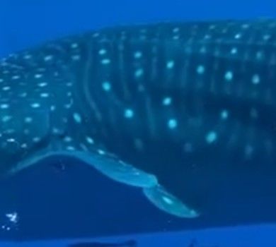 6d86eb2f-841d-472a-a981-6cee3d5b011c