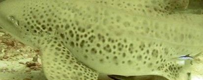 06702818-8562-4a35-9c0d-fbf87afc0539