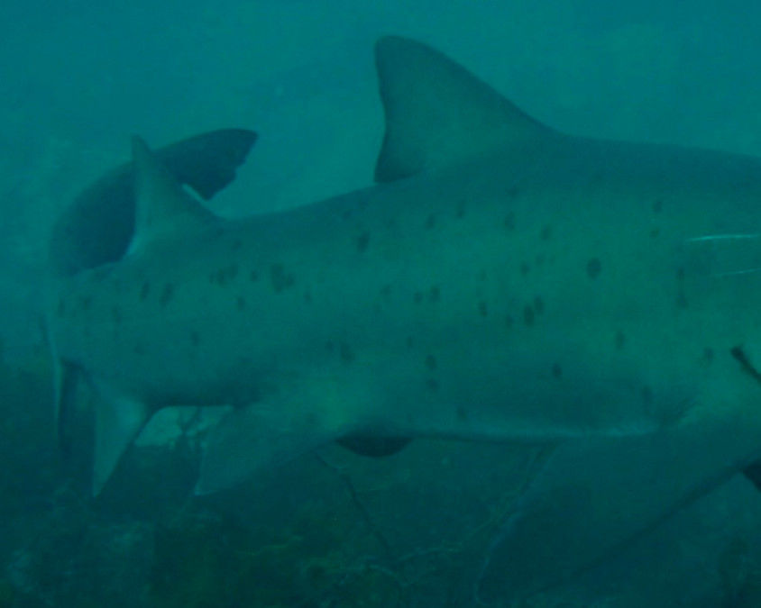 44bd9db7-4b90-4371-933a-74761b49d32a