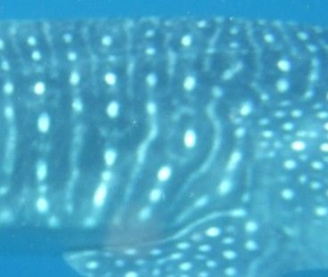 a2edff80-2f89-4ec2-8813-0981d6c59116