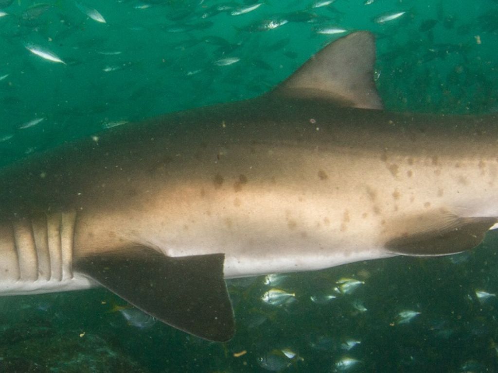 ffec3d99-c8a2-4239-8563-0b9c45b0ee97