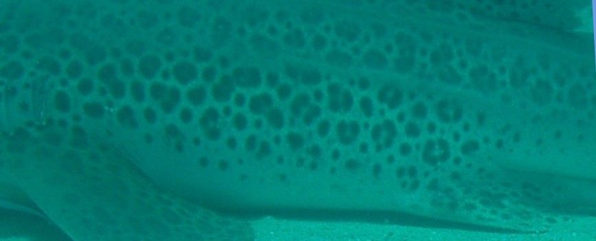 89f2c880-4472-494e-ac8a-04a458141526