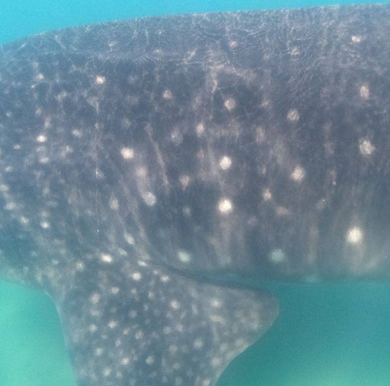 23efbdf9-ab4c-430e-a52a-44b4ba065ad9