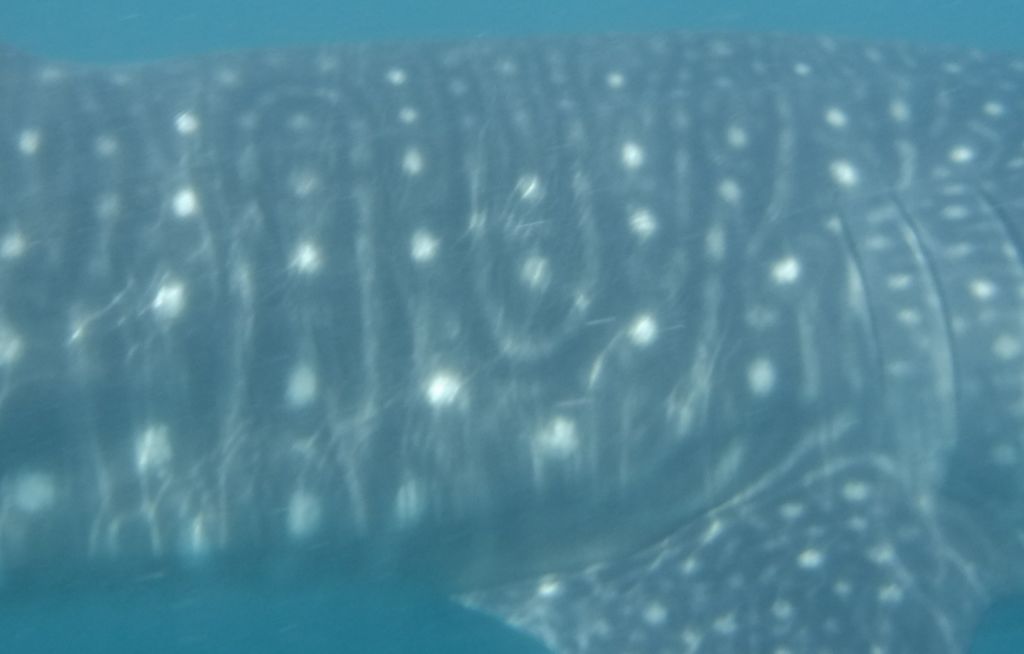 3f3ea59c-3cfb-4475-9ec3-e60173db2cdf