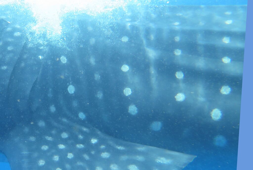 39e6527d-5644-4930-b9cd-fc970572ed94