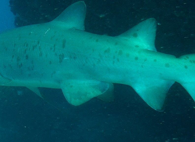 4dd7f654-6330-4fe6-9ea7-0fa788464f57